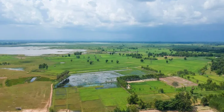 জমি মাপার নিয়ম এবং একক সমূহ